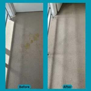 Before and after Carpet Cleaning Perth – stained hallway carpet restored to a fresh, spotless look.