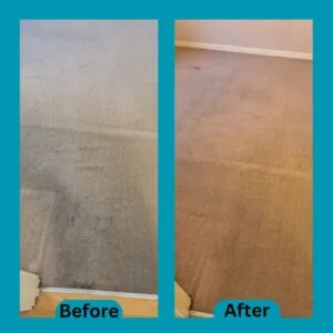 Before and after results of carpet cleaning services showing restored and fresh carpet.