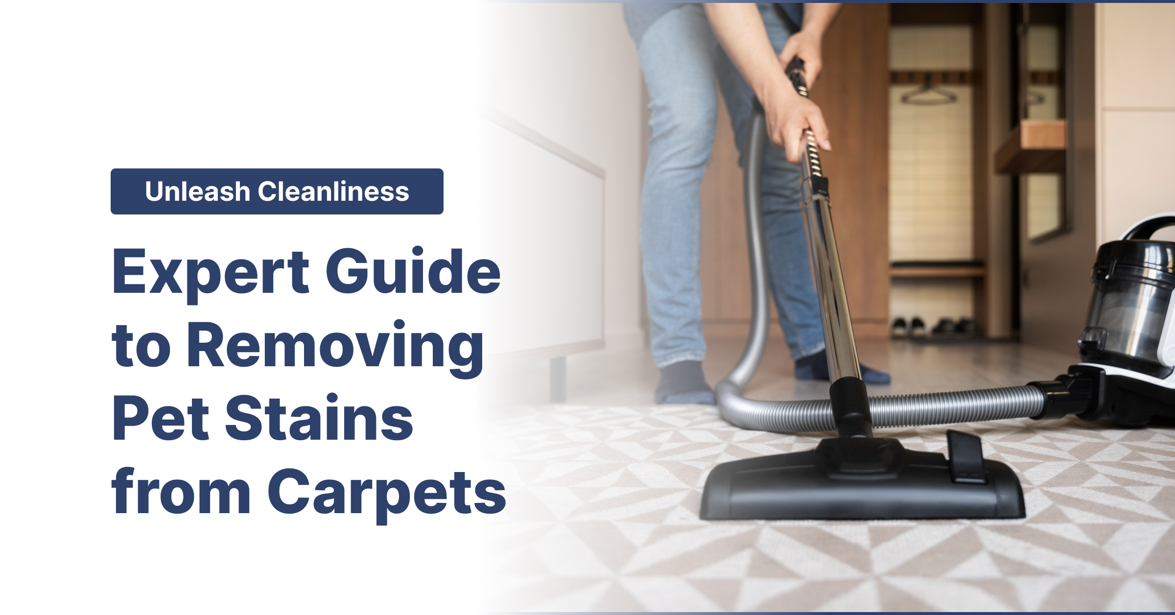 Unleash Cleanliness: Expert Guide to Removing Pet Stains from Carpets