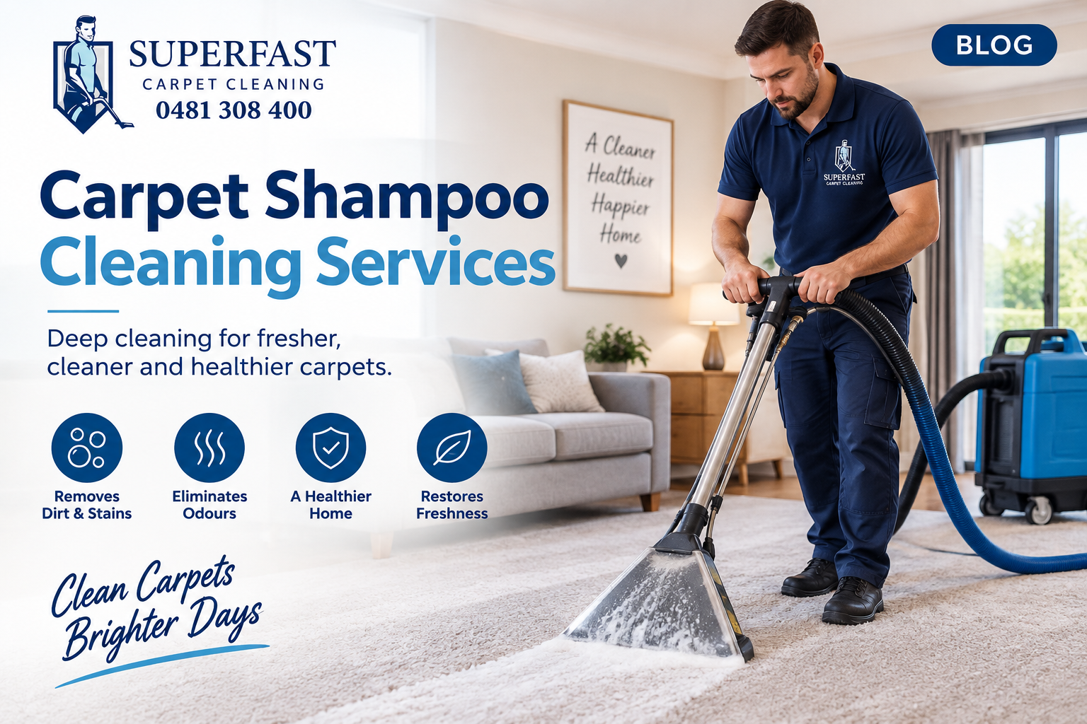 carpet shampoo cleaning Services